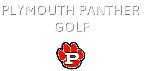 PLYMOUTH PANTHER GOLF<br />